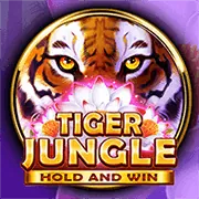 Bàn Poker và chiến lược Texas Hold'em